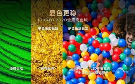 真巅峰真普及！TCL Q10M 双子星炸场，SQD-Mini LED 画质人人可享